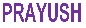 Prayush Device mark 4250139 Trademark