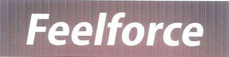 Feelforce Device mark 4250526 Trademark