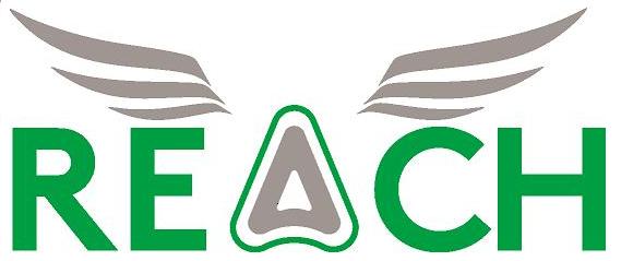 Reach And Device (label) Device mark 4251109 Trademark