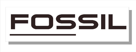Fossil Device mark 4252058 Trademark