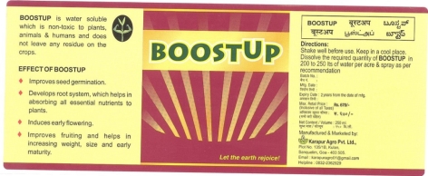 Boost Up Device mark 4248544 Trademark