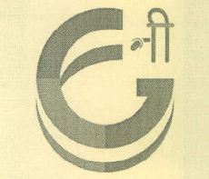 G- Ni Device mark 4249223 Trademark