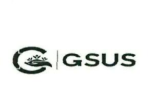 Gsus Device mark 4249265 Trademark