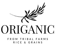 Origanic Device mark 4256748 Trademark