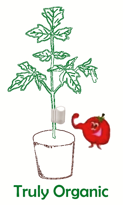 Truly Organic Device mark 4263794 Trademark