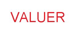 Valuer Device mark 4264295 Trademark