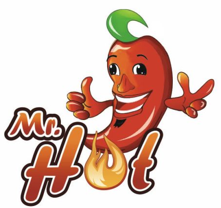 Mr. Hot Device mark 4269999 Trademark