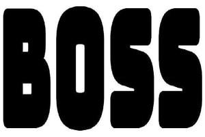 Boss Device mark 4270123 Trademark