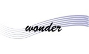 Wonder Device mark 4270599 Trademark