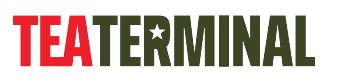 Teaterminal (label) Device mark 4272539 Trademark