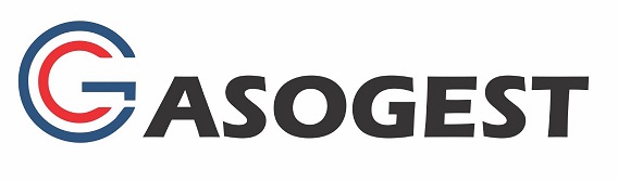 Gasogest Device mark 4288258 Trademark