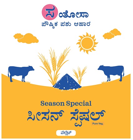 Santosa Season Special Device mark 4290665 Trademark