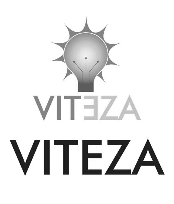 Viteza Device mark 4291877 Trademark
