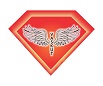 Vaskut Device mark 4305702 Trademark