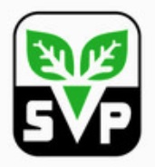 Svp With Device Of Leaves Device mark 4300345 Trademark