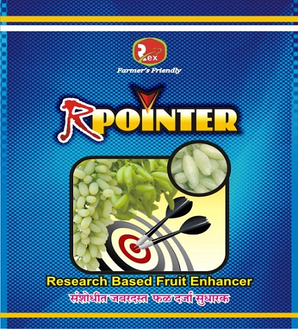 Rex R-pointer Device mark 4299392 Trademark