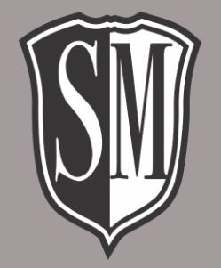 Sm Device mark 4308541 Trademark