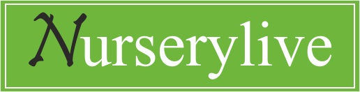 Nurserylive Device mark 4314033 Trademark