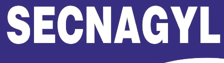 Secnagyl Device mark 4315452 Trademark