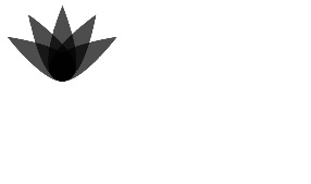 Miscellaneous Device Device mark 4304411 Trademark