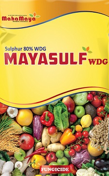 Mayasulf Wdg Device mark 4322137 Trademark