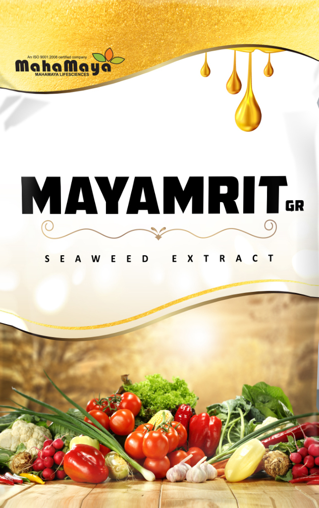 Mayamrit Gr Device mark 4322279 Trademark
