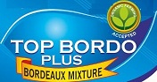 Top Bordo Plus Device mark 3694660 Trademark
