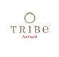 Tribe Amrapali With Device Device mark 4326484 Trademark