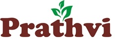 Prathvi Device mark 4329902 Trademark