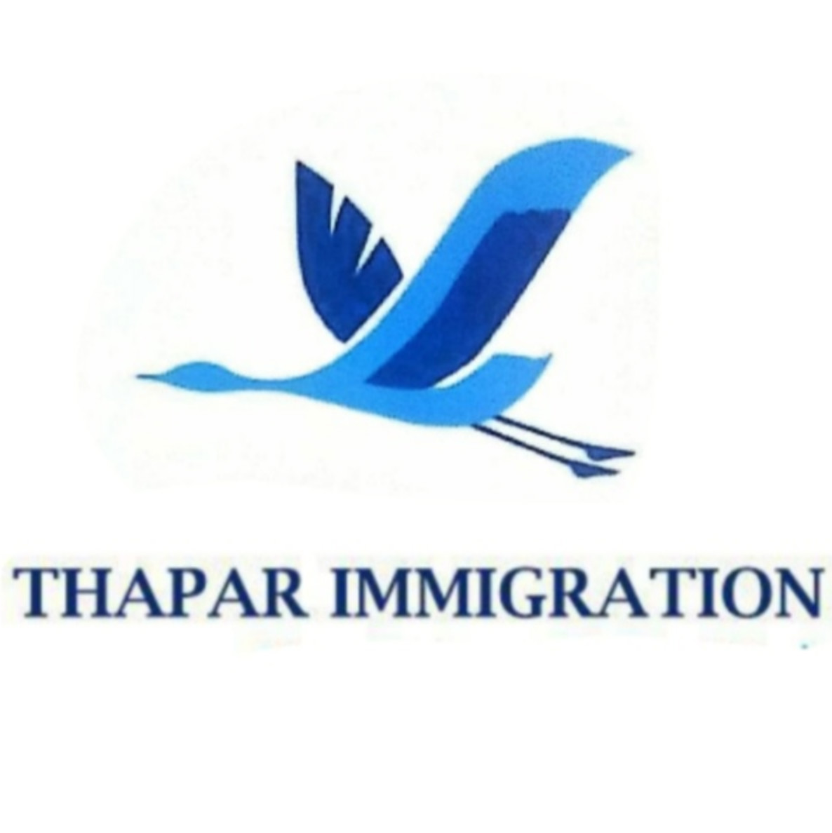 Thapar Immigration (device) Device mark 4336876 Trademark