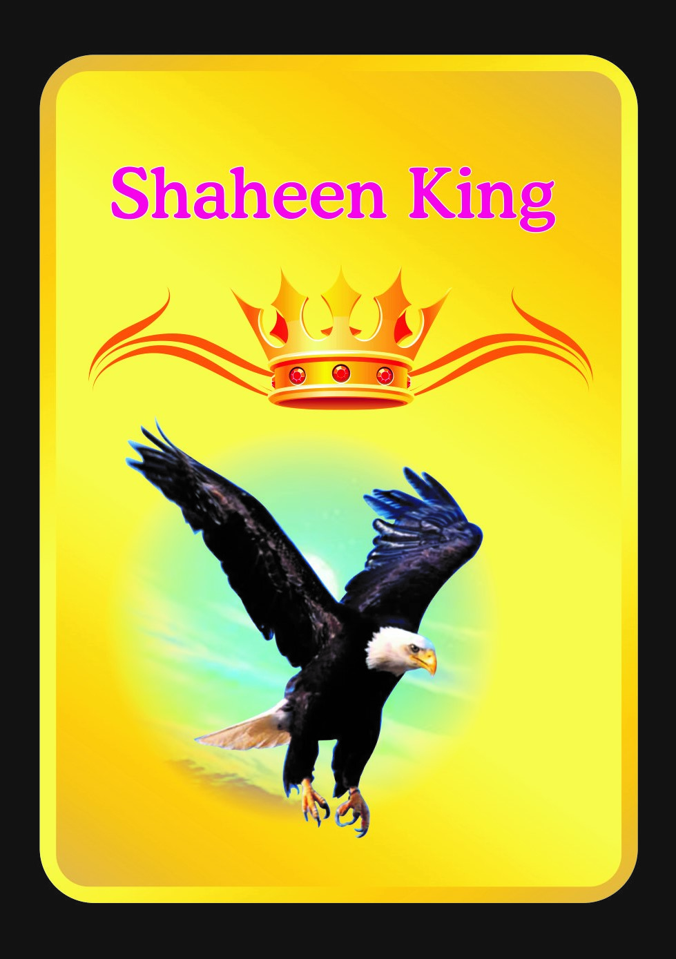 Shaheen King Device mark 4341293 Trademark