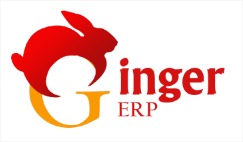 Ginger Erp Device mark 4348312 Trademark