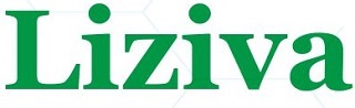 Liziva Device mark 4352580 Trademark