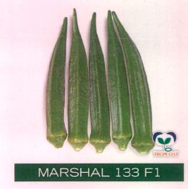 Marshal 133 F1 Device mark 4362221 Trademark
