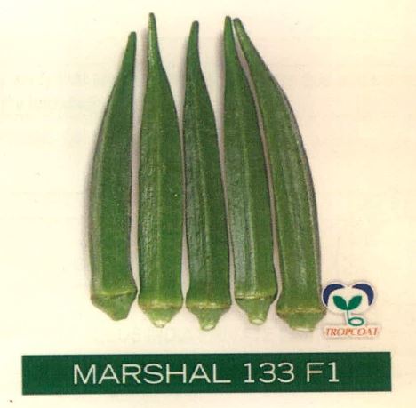 Marshal 133 F1 Device mark 4362222 Trademark