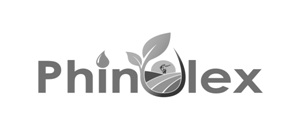 Phinolex (with Device) Device mark 4370062 Trademark