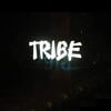 Tribe ( Logo) Device mark 4374010 Trademark