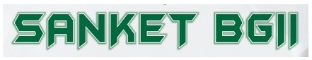 Sanket Bg Ii Device mark 4374896 Trademark