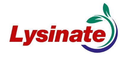 Lysinate Device mark 4381426 Trademark