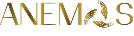 Anemos Device mark 4377996 Trademark