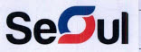 Seoul Device mark 4392975 Trademark