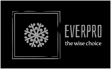 Everpro - The Wise Choice Device mark 4397089 Trademark