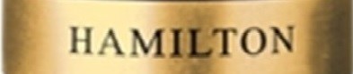 Hamilton Device mark 4393699 Trademark