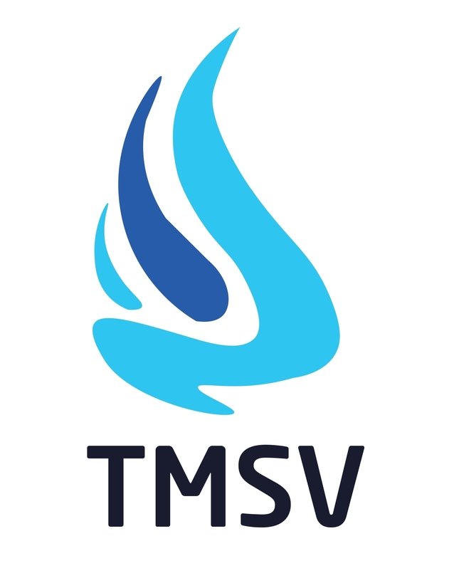 Tmsv Device mark 4448634 Trademark