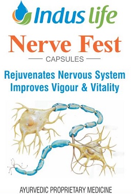 Induslife Nerve Fest Device mark 4449693 Trademark