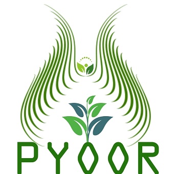Pyoor Device mark 4456665 Trademark