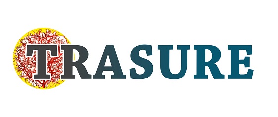 Trasure Device mark 4457199 Trademark