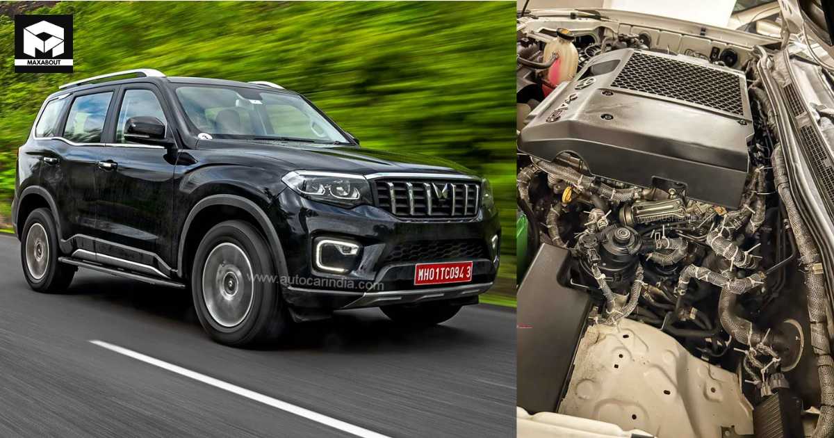 Mesh Stops Rats in Scorpio N, Fortuner: Rs 18k Cost - snap