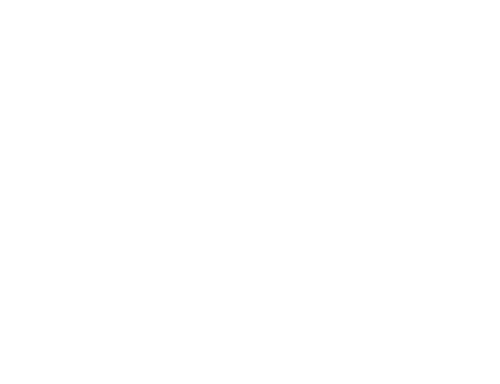 Bushido