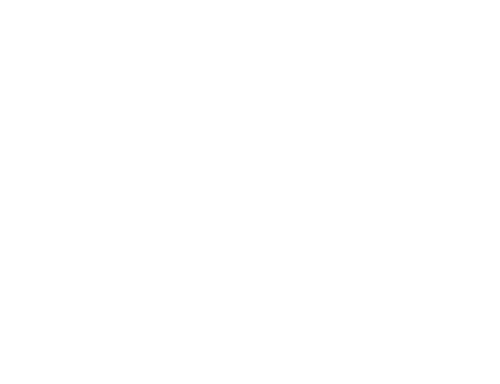 SG Finserve
